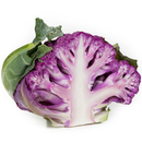 COUVE FLOR 26-972 RIJK ZWAAN 1000 SEMENTES