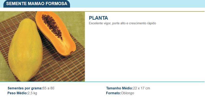 SEMENTES MAMAO FORMOSA TOPSEED 50G