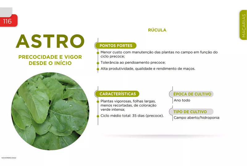 SEMENTES RUCULA ASTRO SAKATA 500G