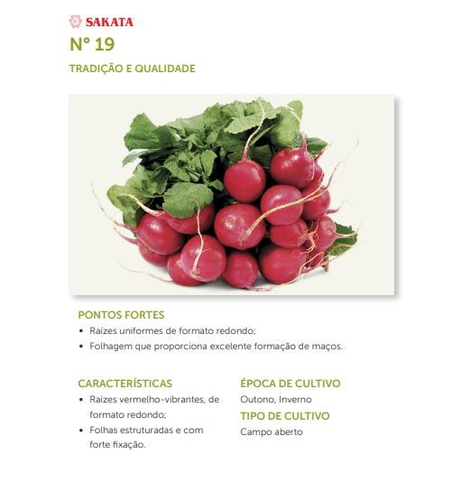 SEMENTES RABANETE N19 SAKATA HIBRIDO 500G