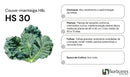 Couve Manteiga Hibrida Hs30 Horticeres 1000 Sementes
