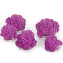 COUVE FLOR 26-972 RIJK ZWAAN 1000 SEMENTES