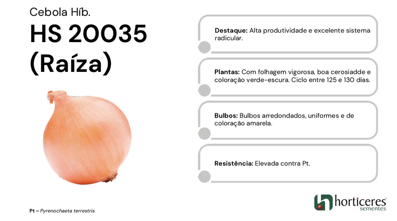 CEBOLA HÍBRIDA RAÍZA HORTICERES 100.000 SEMENTES