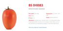 TOMATE HÍBRIDO BS DI0083 BLUESEEDS 1000 SEMENTES