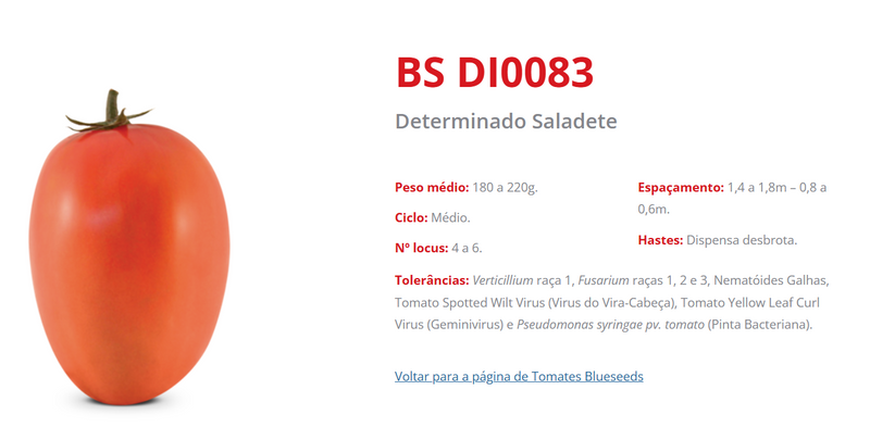 TOMATE HÍBRIDO BS DI0083 BLUESEEDS 1000 SEMENTES
