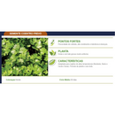 SEMENTES COENTRO FREVO TOPSEED PREMIUM 5KG