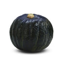 ABOBORA HIB CABOTIA YOKORAMA FELTRIN 1000 SEMENTES