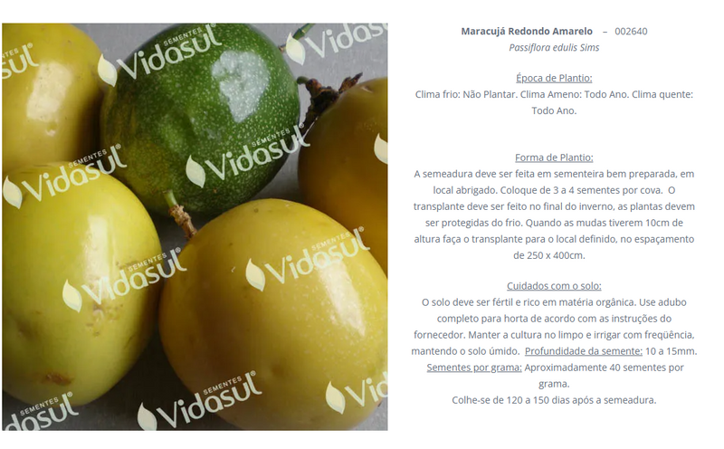 SEMENTES MARACUJA REDONDO AMARELO VIDASUL 50G