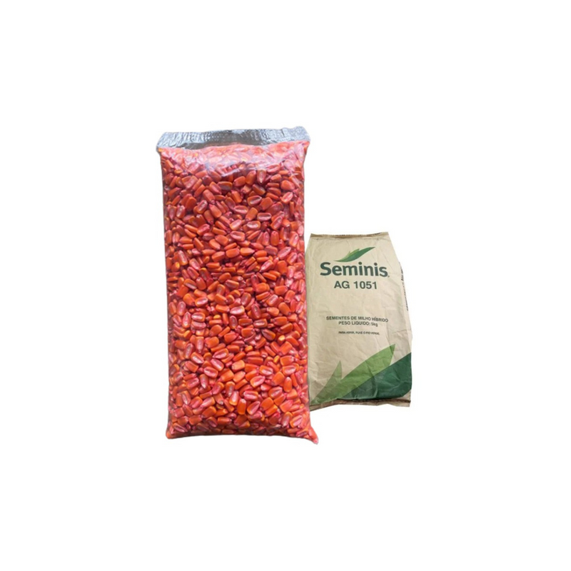 SEMENTES MILHO HIBRIDO AG1051 SEMINIS 1KG