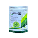 ALFACE CRESPA ENEIDA SEMINIS 5000 SEMENTES