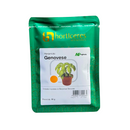 SEMENTES MANJERICÃO FOLHAS GRANDES GENOVESE HORTICERES 50G