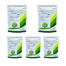 ALFACE CRESPA SOLARIS SEMINIS 25000 SEMENTES