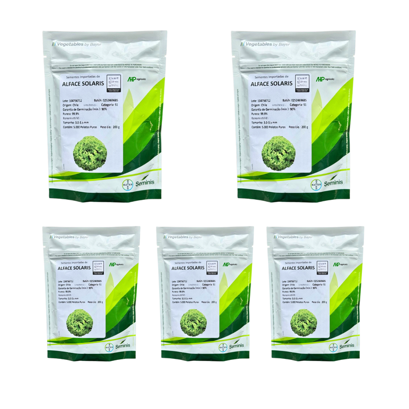 ALFACE CRESPA SOLARIS SEMINIS 25000 SEMENTES