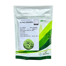 ALFACE CRESPA SOLARIS SEMINIS 5000 SEMENTES