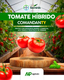 TOMATE HIBRIDO COMANDANTY SEMINIS 1000 SEMENTES
