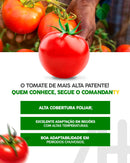 TOMATE HIBRIDO COMANDANTY SEMINIS 1000 SEMENTES