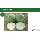 REPOLHO HIBRIDO SOBERANO PLUS HORTICERES 5000 SEMENTES
