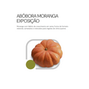 SEMENTES ABÓBORA MORANGA EXPOSIÇÃO HORTICERES 100G
