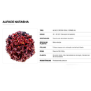 ALFACE CRESPA ROXA NATASHA FELTRIN 1000 SEMENTES