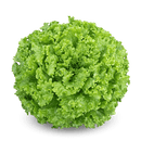 ALFACE CRESPA BS AC0054 BLUESEEDS 25000 SEMENTES