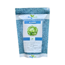 ALFACE AMERICANA BS AA0065 BLUESEEDS 7500 SEMENTES