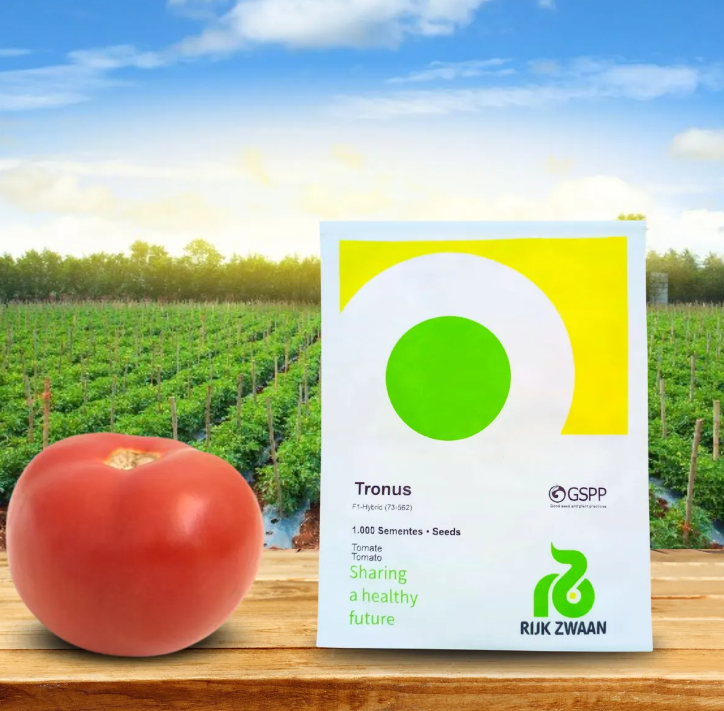 TOMATE HÍBRIDO TRONUS RIJK ZWAAN 1000 SEMENTES