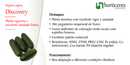 PEPINO CAIPIRA HIBRIDO DISCOVERY HORTICERES 1000 SEMENTES