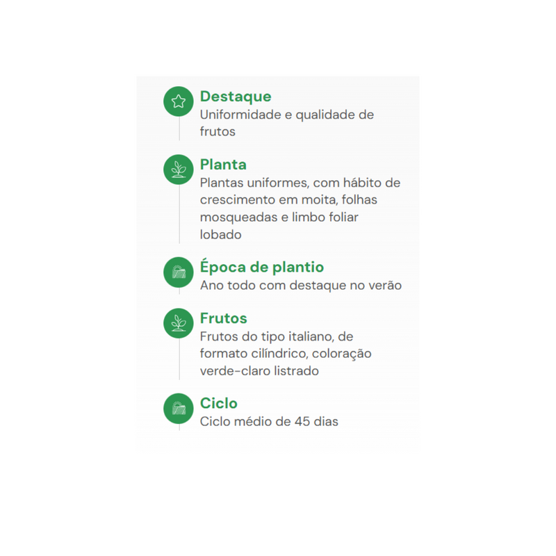 SEMENTES ABÓBORA CASERTA HORTICERES 100G