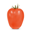 TOMATE SALADETE HIBRIDO BS II0012 BLUESEEDS 1000 SEMENTES