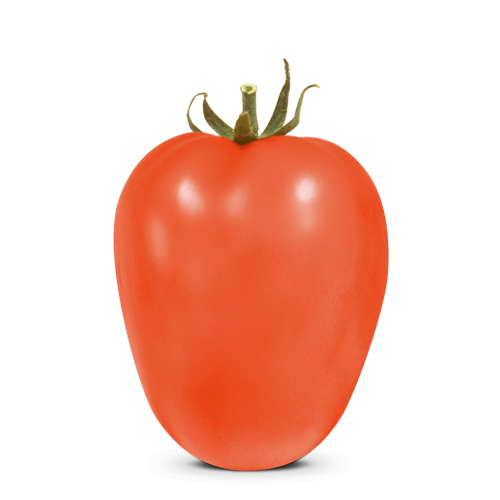 TOMATE SALADETE HIBRIDO BS II0012 BLUESEEDS 1000 SEMENTES