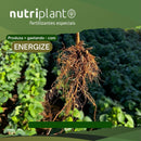 FERTILIZANTE FOLIAR ENERGIZE 40% MO NUTRIPLANT 2KG