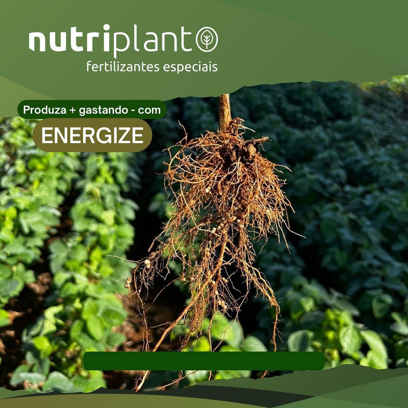 FERTILIZANTE FOLIAR ENERGIZE 40% MO NUTRIPLANT 2KG