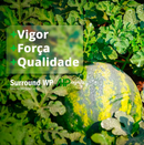 Protetor Solar Para Plantas Surround Wp 5kg