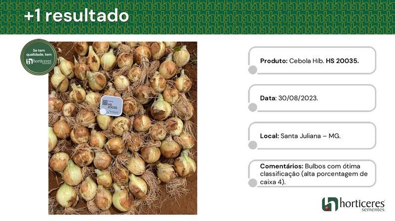 CEBOLA HÍBRIDA RAÍZA HORTICERES 100.000 SEMENTES