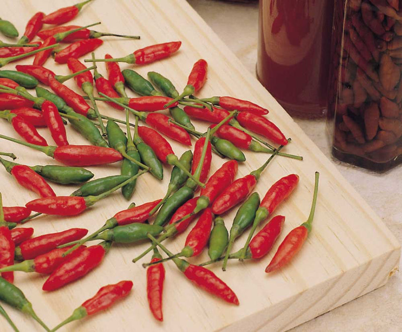 SEMENTES PIMENTA MALAGUETA TOPSEED 50G