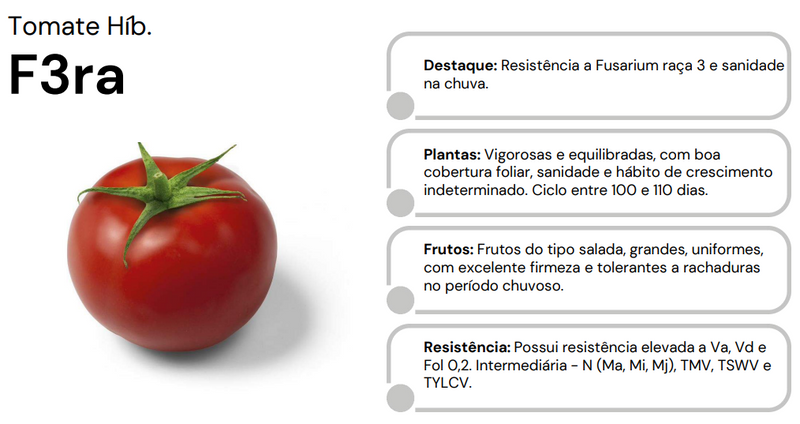 TOMATE HÍBRIDO F3RA HS19197 HORTICERES 1000 SEMENTES