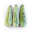 ABOBRINHA CASERTA HIBRIDA ANASTASIA SEMINIS BAYER 1000 SEMENTES