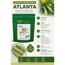 ABOBRINHA ITALIANA HIBRIDA ATLANTA HORTICERES 1000 SEMENTES