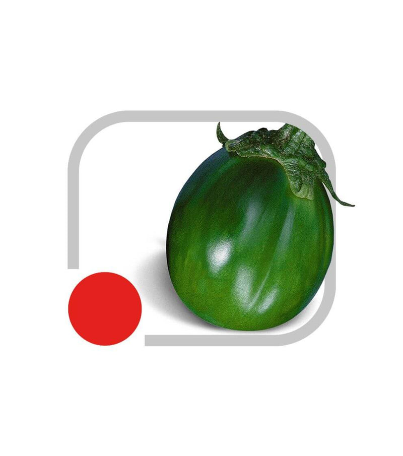 SEMENTES JILO MORRO REDONDO HORTICERES 100G