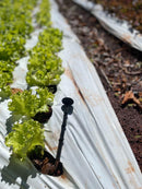 MULCHSTAKE ESTACA P/ FIXAÇÃO MULCHING 1000UN