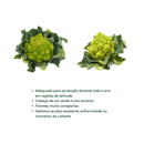 ROMANESCO COUVE FLOR HÍBRIDO PUNTOVERDE RIJK ZWAAN 1000 SEMENTES