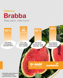 MELANCIA HIBRIDA BRABBA BASF NUNHEMS 1000 SEMENTES