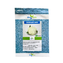 COUVE-FLOR HÍBRIDA CHAMPAGNE SNOW BLUESEEDS 1000 SEMENTES