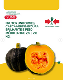 ABOBORA HIBRIDA TETSUKABUTO YUMI EWS 1000 SEMENTES