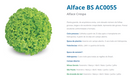 ALFACE CRESPA BS AC0055 BLUESEEDS 7500 SEMENTES