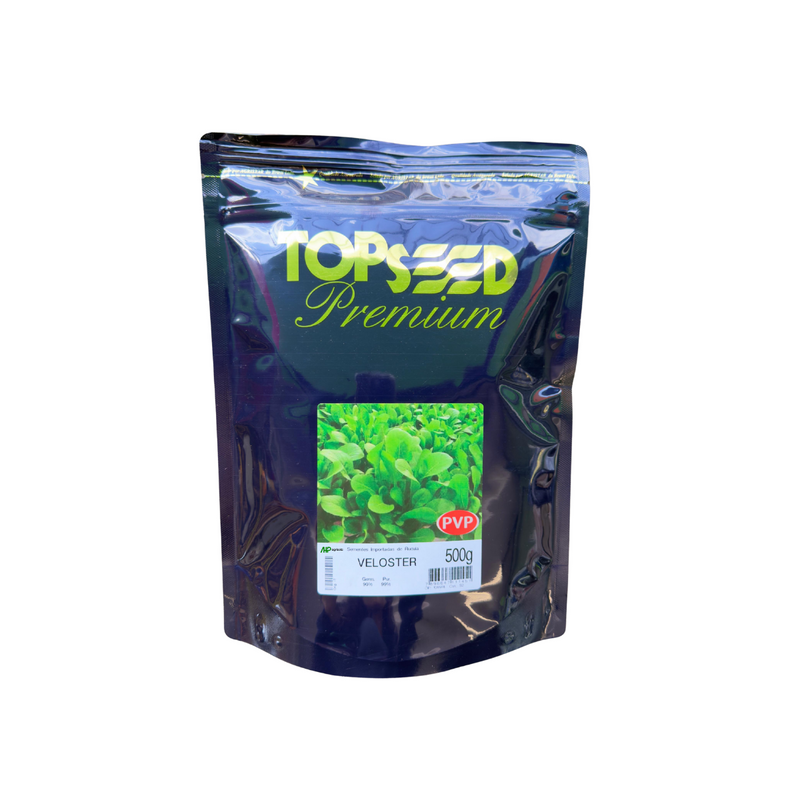 SEMENTES RUCULA VELOSTER TOPSEED PREMIUM 500G