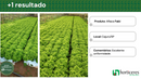 ALFACE CRESPA FABI HORTICERES 5000 SEMENTES
