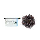 ALFACE LISA ROXA SALANOVA KLEE RIJK ZWAAN 1000 SEMENTES