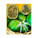 MARACUJA HIBRIDO PEROLA DO CERRADO AGROCINCO/EMBRAPA 500 SEMENTES