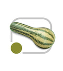 SEMENTES ABOBORA GOIANINHA HORTICERES 100G